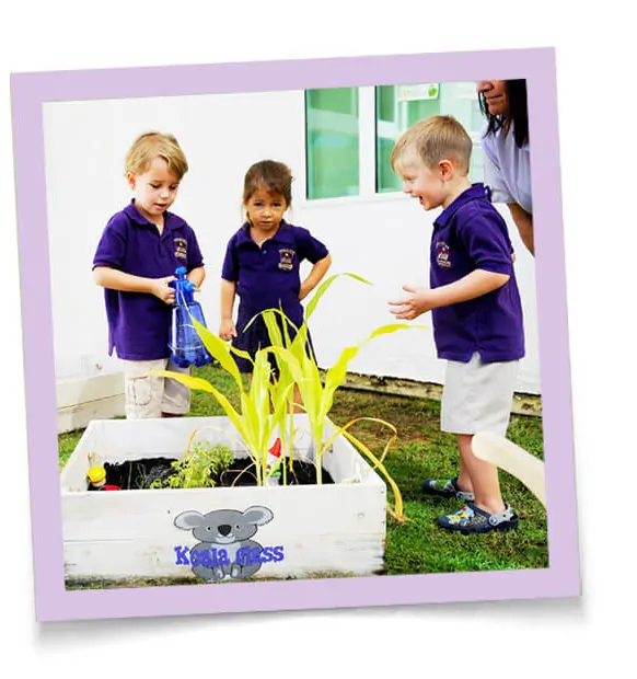 EYFS Profiles - How Teachers Track Little Learners Progress