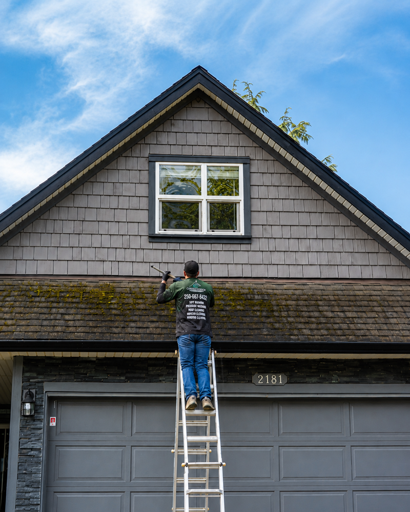 What’s Included in a Professional Roof Cleaning Service?